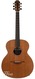 Lowden O25 Rosewood Cedar 2014