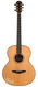 Avalon A2 20 Baritone Rosewood Spruce Near Mint