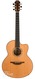 Lowden F35c Alex De Grassi Quilt Maple 2008