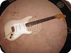 Fender Stratocaster 1988-Translucent Blond Over Ash/gold Hdwr
