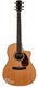 Larrivee LV09e Indian Rosewood Sitka Spruce 2009