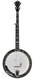 Stelling Sunflower 5 String Banjo 2013