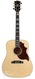 Gibson Firebird AC Acoustic Natural