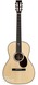 Santa Cruz Eric Skye Cocobolo Adirondack Spruce