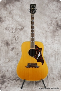 maton c50