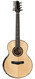 Kevin Ryan Nightingale Tiger Myrtle Adirondack 12-2 String