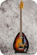 Vox Teardrop Bill Wyman 2013-Sunburst