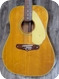 Fender Shenandoah XII 12-String 1966-Natural Finish