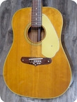 Fender Shenandoah XII 12 String 1966 Natural Finish