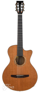 Lakewood A35ce Crossover Nylon Mint 2019