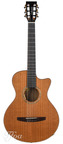 Lakewood A35CE Crossover Nylon Mint 2019