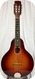 Noname 1954 East German Mandolin 1954