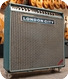 London City Combo Amp