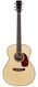 Goodall THR OM Honduran Rosewood German Spruce