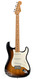 Fender Custom Fender Master Built 50th Anniversary Stratocaster 2-Tone Sunburst Greg Fessler 2004 1954