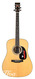 Martin D35 Woodstock 50th Anniversary