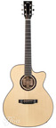 BSG GA12CF Spruce Walnut L.R. Baggs