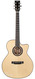 BSG GA12CF Spruce Walnut L.R. Baggs