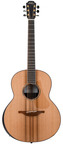 Lowden F50 African Blackwood Cedar