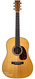 Martin D21 Authentic Style CS 12 Fret Madagascar Adirondack 2011