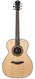 Furch Red OMSR Indian Rosewood Sitka Spruce