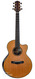 Kevin Ryan Nightingale DB Pierre Bensusan Limited Edition 2010