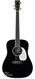 Collings D42A Adirondack Jet Black Top