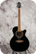 Takamine LTD96 1996-Black