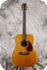 Martin Shenandoah D2832 Natural