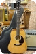 Eastman Eastman E6D-TC Thermo Cured Sitka Top Hog Dreadnought With Case