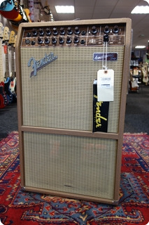 Fender Fender Acoustasonic Sfx 80 Watts 230 Volt