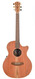 Cole Clark AN2EC-RDBL Redwood Blackwood