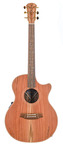 Cole Clark AN2EC RDBL Redwood Blackwood