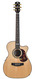 Maton EM100C 808 Messiah