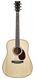 Martin Custom Shop Dreadnought Cocobolo Adirondack