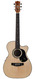 Maton EBG808C Joe Robinson Signature