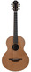 Lowden S23 12 Fret Walnut Cedar