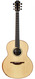 Lowden F35 Madagascar Rosewood Alpine Spruce 2019