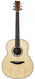 Mcilroy A57 Cocobolo Adirondack Spruce 1246