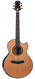 Kevin Ryan Nightingale Grand Soloist Koa Ancient Cedar