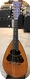 Washburn Style 1618 Mod 1915 Mandolin Bowl Back 1915