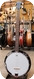 Washburn B8 5-string Banjo