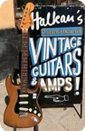 Fender Stratocaster Hardtail Custom Color Brown 1974
