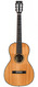 BSG P33F Jacaranda Rosewood Spruce 2013