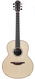 Lowden F35 Madagascar Rosewood Alpine Spruce B Stock