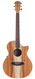 Cole Clark AN2EC BLBLR Blackwood Rosewood Fretboard