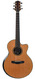 Kevin Ryan Pierre Bensusan Limited Edition 2010