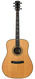 Larrivee D10 Australian Blackwood 1998