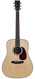 Collings D2H 20th Anniversary Rhododendron