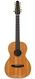 Loef, Olav Olav Loef 12 String Sylva 2009